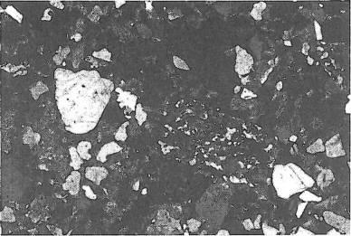 layer 3. Obr. č. 6 Mikrofotografie kalcitového pískovce až slepence polohy 5. Uprostřed obrázku je valoun buližníku.