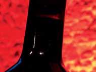 Společným jmenovatelem degustací Chianti DOCG je však v posledních letech velká odlišnost vín a stylů. A podobná byla i letošní degustace, i když pozitivní vývoj je zde určitě znát.