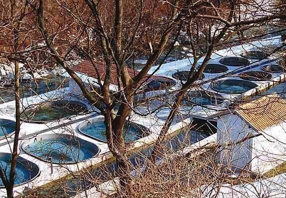 Posočje in širjenje Nature 2000 sobivanje je ključno V Soških elektrarnah Nova Gorica (SENG) sledijo praksi vključevanja vseh deležnikov v odločanje o prihodnosti, tudi energetski.