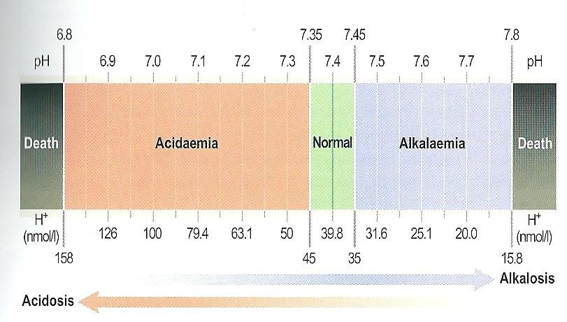 13 Acidóza a acidémia, alkalóza a alkalémia Aktuálna hodnota ph krvi Aktuálny