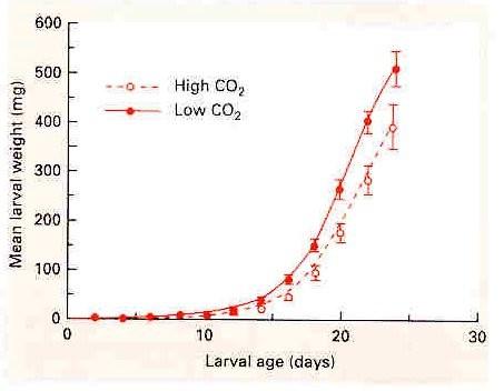 CO 2 jako zdroj Nepřímý vliv CO 2 v interakcích rostlina - býložravec. Se vzrůstající koncentrací CO 2 obvykle klesá podíl dusíku v tkáních.