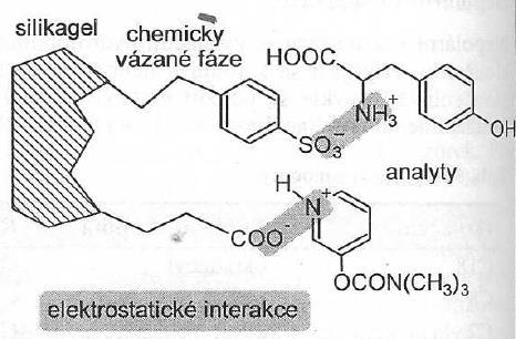 Obr. 4 - interakce na polárních sorbentech [1] 4.3.3 Iontově-výměnné vázané fáze Mimo aminopropylové vázané fáze existují další iontově-výměnné fáze.
