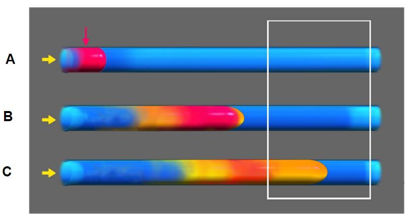 3) systém Lab-on-valve ve spojení s bead injection (BI), popsán Růžičkou v roce 1994 [8], společně se sekvenční injekční chromatografií zastupují poslední generaci 4) sekvenční injekční