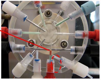 Bead Injection Spectroscopy (BIS) LOV modul je umístěn na vícecestném ventilu tak, aby byla průtoková cela orientována vertikálně. Gravitace tak napomáhá lepšímu zadržení kuliček.