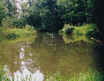 INFORMUJEME NATURA 2000 situace v âeské republice V minulém ãísle Lesu zdar jsme informovali o systému Evropské unie na ochranu pfiírody NATURA 2000, tj.