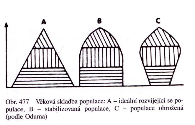 Věkové rozložení a plánované zásahy 30%