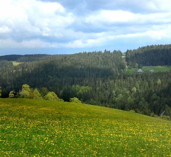 Závody Schonach, Schönwald a Triberg: Vysoko ve Schwarzwaldu (Černém lese) Právní rámec VÝROBKY, SLUŽBY, ZÁKAZNÍCI A TRHY SPO- LEČNOSTI BURGER GROUP.