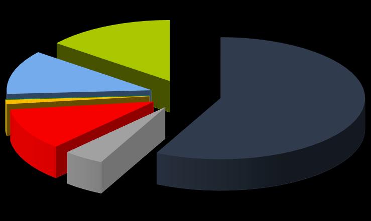 představoval podíl odlivu investic do zahraničí do zemědělství, lesnictví a rybolovu pouze 0,01 % celkových tuzemských investic do zahraničí.