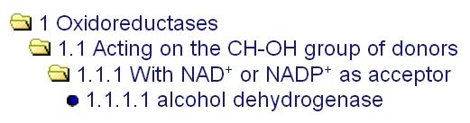 dehydrogenase