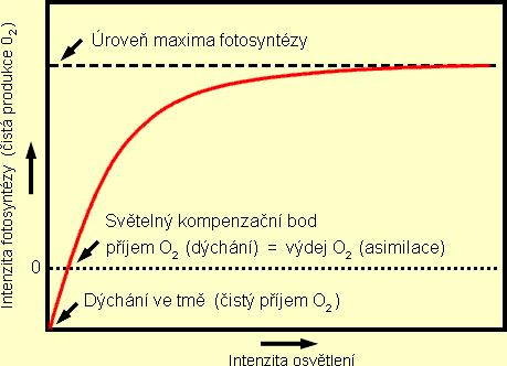 PODMÍNKY