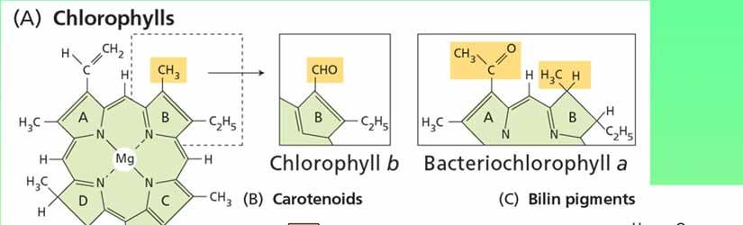 methyl