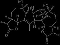 Seskviterpenoidní laktony - absintin