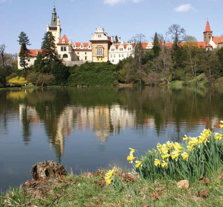 During our trips to Pruhonicky Park, we have seen and heard so many things, like ants crawling along the trees, new green grass growing, baby birds chirping, bees buzzing, ducks swimming in the pond,