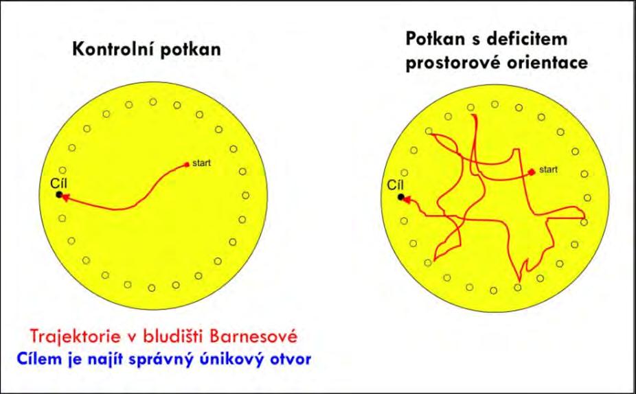 cíle Menší stres