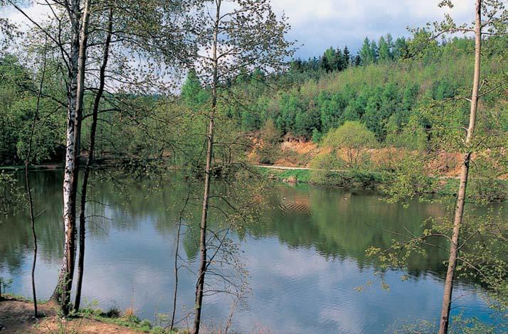 3-76_BM_uzemi_.4.008 3:48 Stránka 3 Brnûnsko 3 GEOLOGIE Geologicky se území nachází v brnûnském masivu. Skalní podloïí tvofií biotitick granodiorit typu Královo Pole.