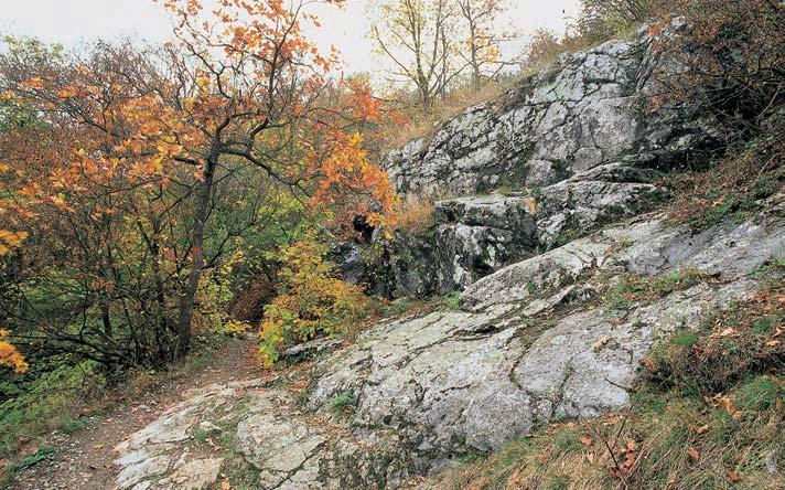 3-76_BM_uzemi_.4.008 3:49 Stránka 54 Brnûnsko GEOLOGIE Z podloïí vystupuje pruh devonsk ch vápencû na rozhraní vyvfielin brnûnského masivu a sedimentû Boskovické brázdy.