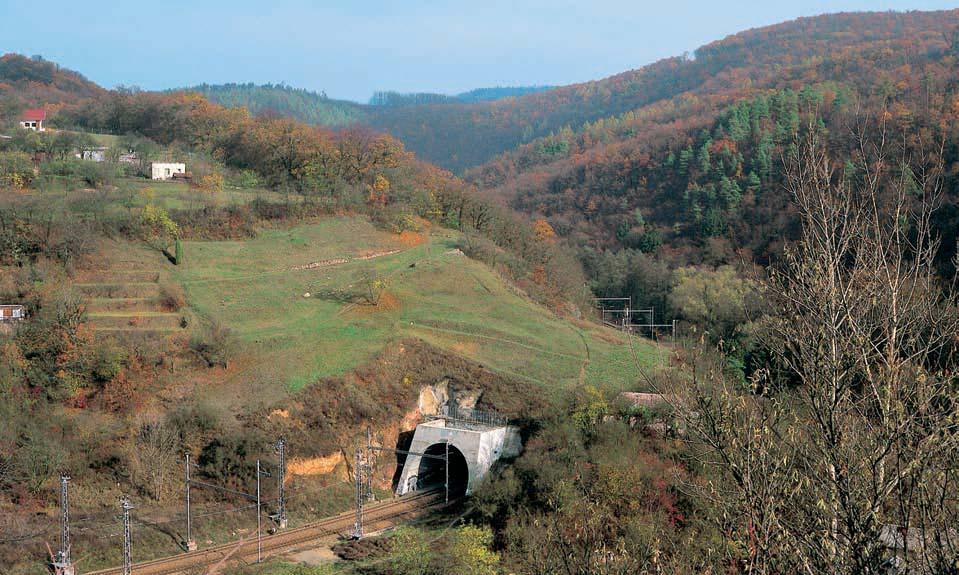 3-76_BM_uzemi_.4.008 3:49 Stránka 56 Brnûnsko GEOLOGIE Skalní podloïí tvofií horniny brnûnského masivu, pfiedstavované amfibol-biotitick m granodioritem typu Blansko. V území jsou antropogenní tvary.