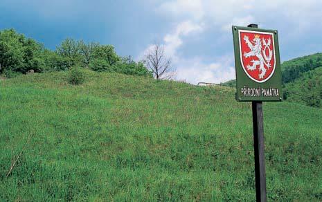 KVùTENA Otevfiené travnaté plochy hostí vzácná teplomilná stepní spoleãenstva svazu Festucion valesiacae s celou fiadou chránûn ch a ohroïen ch rostlinn ch druhû.