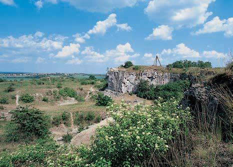 3-76_BM_uzemi_.4.008 3:49 Stránka 6 Brnûnsko 3 4 Vstavaã vojensk (Orchis militaris) patfií mezi silnû ohroïené rostliny na í kvûteny. Jeho populace na Stránské skále je velmi slabá.