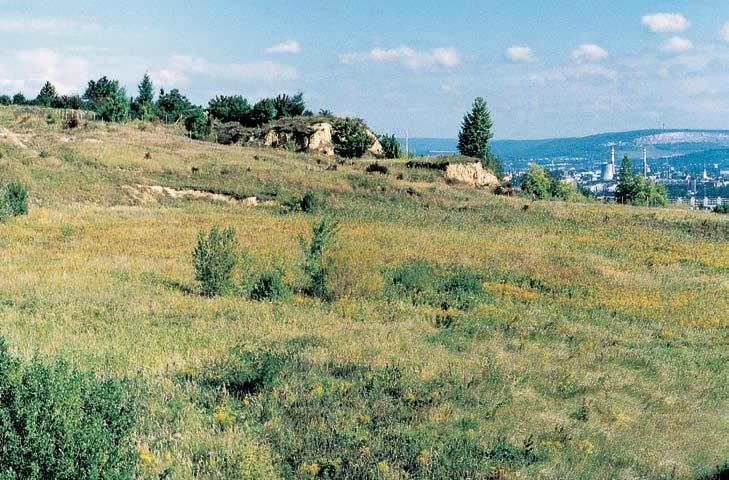 miocén, ãást morav) pfiedstavované brnûnsk mi písky avápnit mi jíly. NadloÏí terciérních sedimentû (písky, jíly) tvofií komplex kvartérních sedimentû.