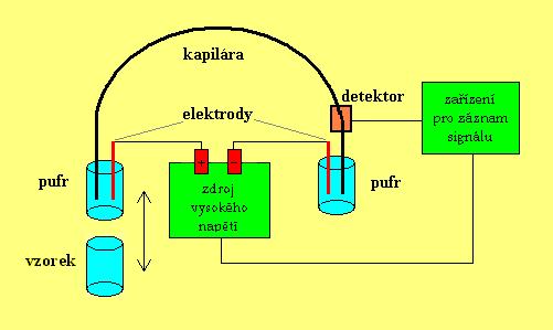 5.2.2 Instrumentální uspořádání Zařízení pro kapilární zónovou elektroforézu je velmi jednoduché, obsahuje separační kapiláru, zdroj napětí, dávkovač vzorku, detektor a zařízení pro záznam