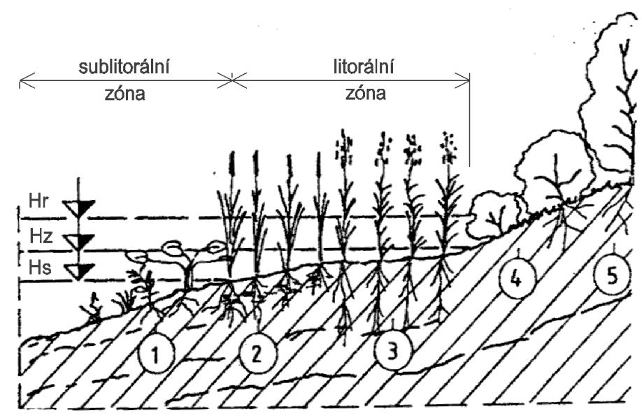 Úprava litorální zóny pobřežní pásmo Plynulý přechod mezi vodním prostředím nádrže a okolím (netýká se suchých nádrží) ochrana