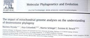 (y-axis) and protein-coding (x-axis) mitochondrial genes.