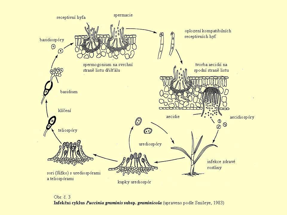 Inovace ochrany