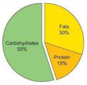 Přívod B, T, S denními jídly Na přívodumakronutrientů (bílkovin, tuků celkem,sacharidů celkem) se vprůběhu dne nejvyšší měroupodílíoběd: 30 40 % B, T 20 30 % S Večere kryje z