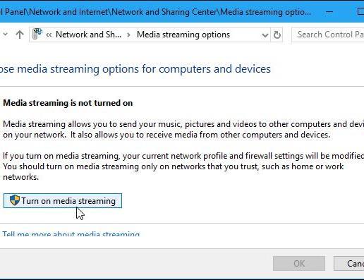 DLNA ve Windows Network and