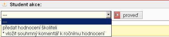 Nakonec je třeba vložit souhrnný komentář k ročnímu hodnocení, který se objeví v dolní části Závěrečné roční hodnocení.