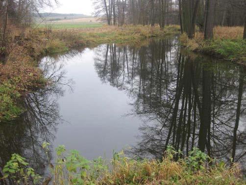 Charakter toku v podjezí PRŮTOK (m3/s) 3 2,5 2 1,5 1 0,5 0 ORIENTAČNÍ PRŮTOKOVÉ POMĚRY MIN. ZŮSTAT.