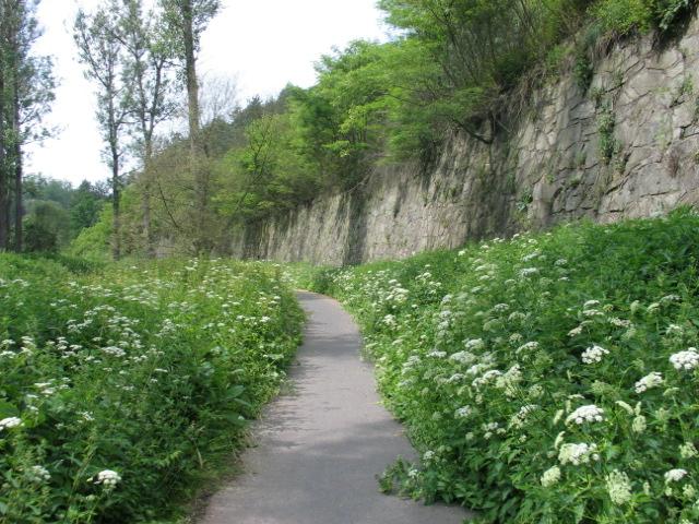 úpravy. Ty se budují ve smyslu zákona č.139/2002 Sb., o pozemkových úpravách a pozemkových úřadech a o změně zákona č.229/1991 Sb.