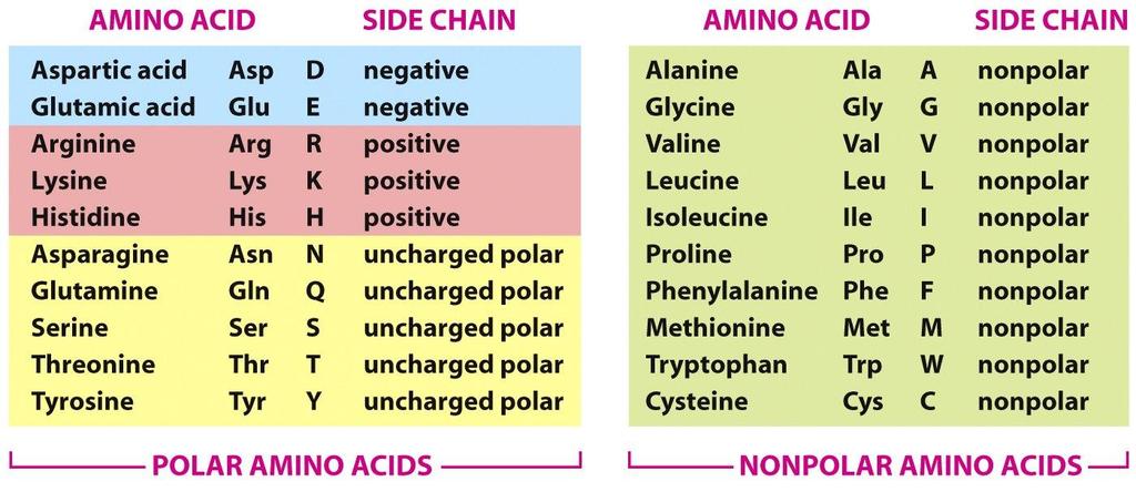 Figure 3-2 Molecular Biology of