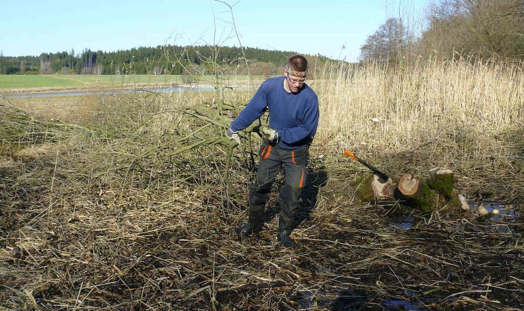 2.6.4 Nadějovské nivy Zájmová plocha se nachází v lokalitě zvané Nadějovské nivy v k.ú Nadějov.