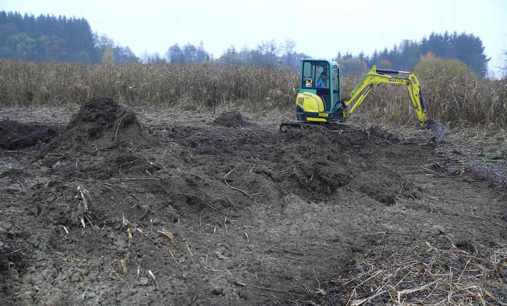 nových tůní a vůbec možnosti vyhloubit zde nové tůně) a následně minibagrem vybudovány mělké tůně o velikostech 280 a 20 m 2, včetně několika mikrotůní.