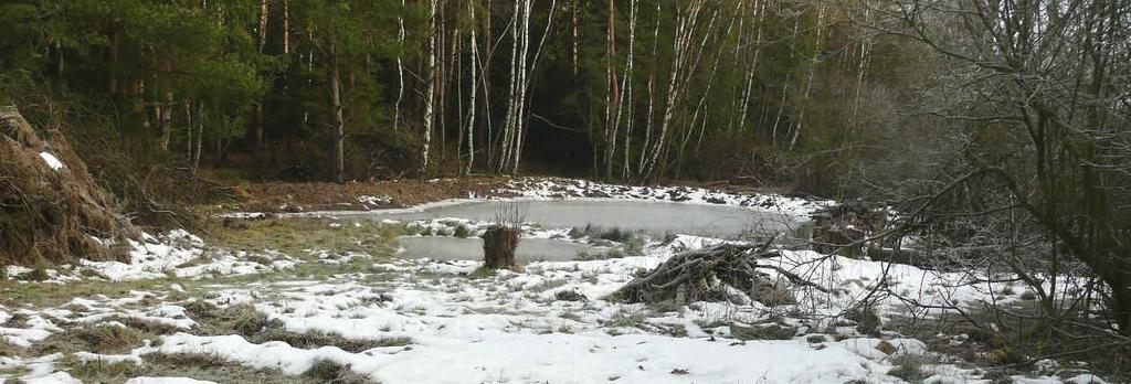 3. VÝSLEDKY PRÁCE 2012 Na následujících fotografiích jsou prezentovány vybrané