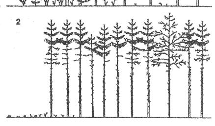 ochrany a hospodářské úpravy lesa. Porostním okrajem strmě probíhá gradient klimatologických prvků z vnějšku do nitra porostu.