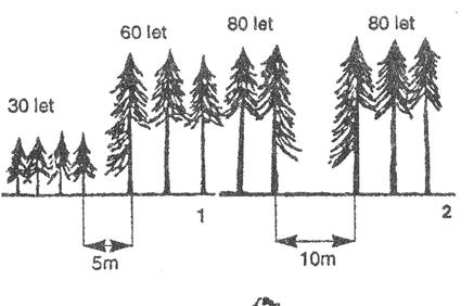 PŘÍRODNÍ TŘÍDĚNÍ LESŮ, KATEGORIZACE LESŮ porostů a zásadním předpokladem bezpečnosti provozních systémů smrkového hospodářství ohrožovaného bořivým větrem.