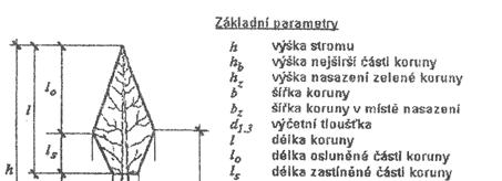 HOSPODÁŘSKÉ A PĚSTEBNÍ VLASTNOSTI STROMU, PĚSTEBNÍ VÝBĚR, PĚSTEBNÍ ZÁSAH Tvarové parametry stromu - zpracoval Peňáz Tvarové parametry stromu - ukazatele tvaru stromu, odvozené ze základních -