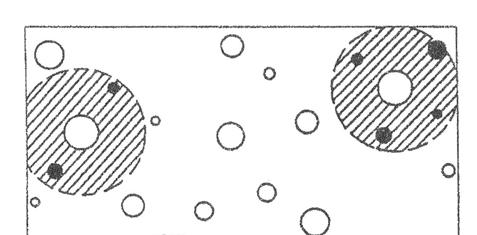 HOSPODÁŘSKÉ A PĚSTEBNÍ VLASTNOSTI STROMU, PĚSTEBNÍ VÝBĚR, PĚSTEBNÍ ZÁSAH Obr. 22 Výběr geometrický: v okruhu cílových stromů jsou všechny stromy určeny k vytěžení Obr.