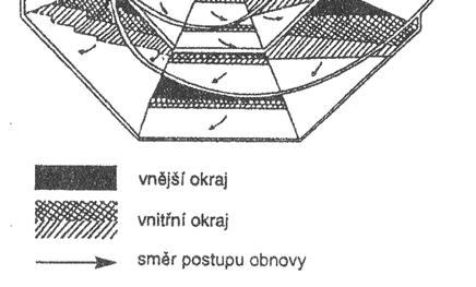 Jeho šířka se rovná vzdálenosti, do níž sahá účinná boční ochrana starého porostu a mění se podle expozice svahu a orientace stěny porostu ke světovým stranám.