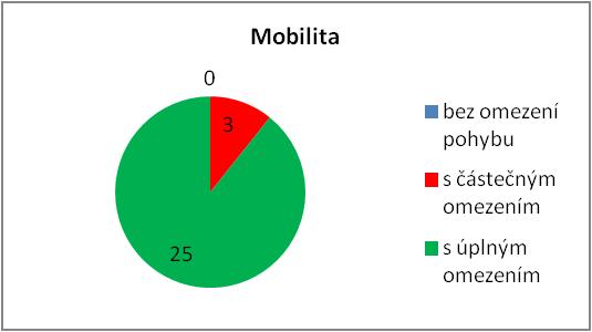 dětem, z toho 12 s nařízenou ústavní výchovou, 9 mladým dospělým do 26 ti let a 5 dospělým uživatelům, zcela imobilním.