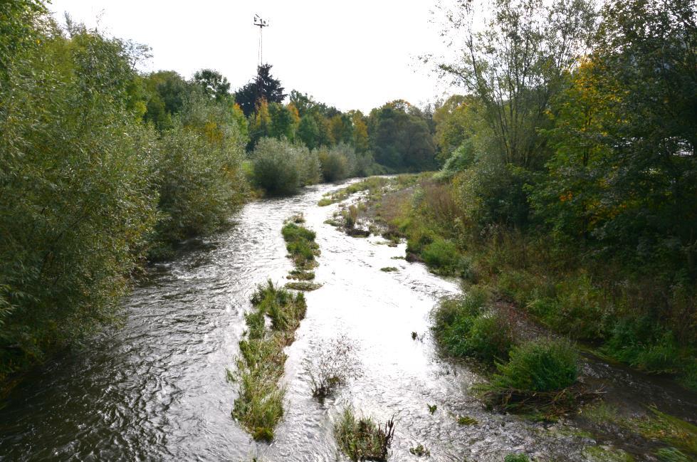 Obr. 6: Pohled RBK 641, na levém břehu patrná hojná přítomnost keřovitých vrb (foto 29.09.2017) 7. RBC 244 U Jakubčovic Biocentrum je vymezeno v jižní částí silnicí I. třídy č.