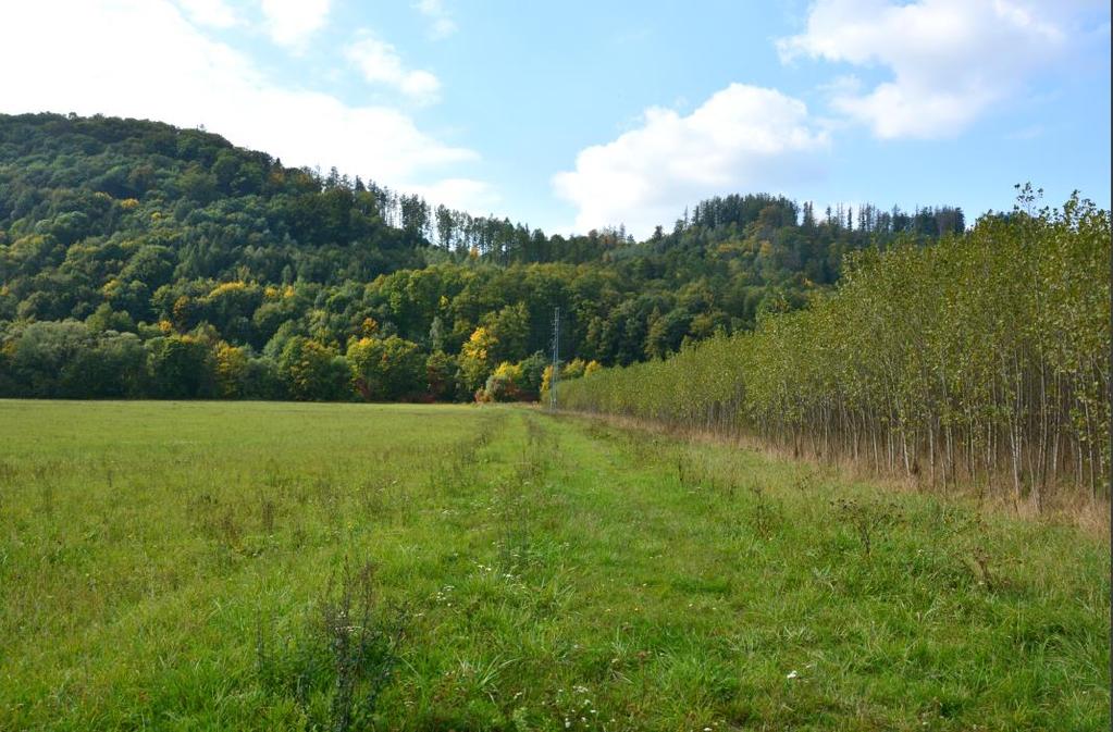 (zemědělsky obhospodařované nivy); zalesnění se zde jeví vzhledem k okolním lesním porostům jako zcela nevhodné.