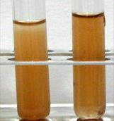 2. Domácí experimenty 29 Nacházejí uplatnění v lékařství jde o jedny z nejúčinnějších zachytávačů volných