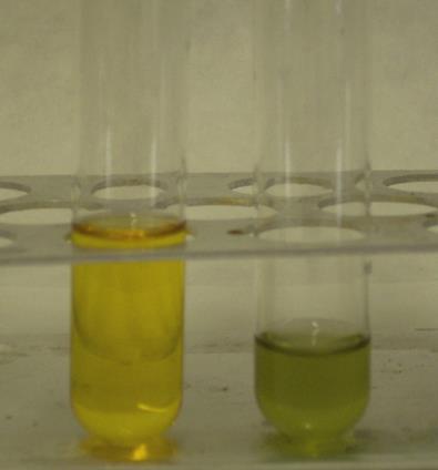 52 3. Laboratorní experimenty s přírodními látkami několika minut (asi 3, max. 10 minut) objeví zelené zbarvení; podle jeho intenzity lze kvalitativně usoudit na obsah cholesterolu.