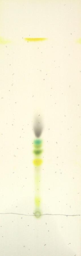 70 4. Experimenty z každodenního života Výsledky mohou vypadat takto: 1. β-karoten 2. chlorofyl A 3. feofytin 4. chlorofyl B 5. lutein 6. lutein-5,6- epoxid 7. violaxanthin 8.