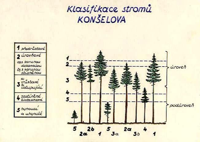 o Konšelova 24.1.