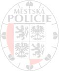 VÝROČNÍ ZPRÁVA MĚSTSKÁ POLICIE DOBŘÍŠ 2 013